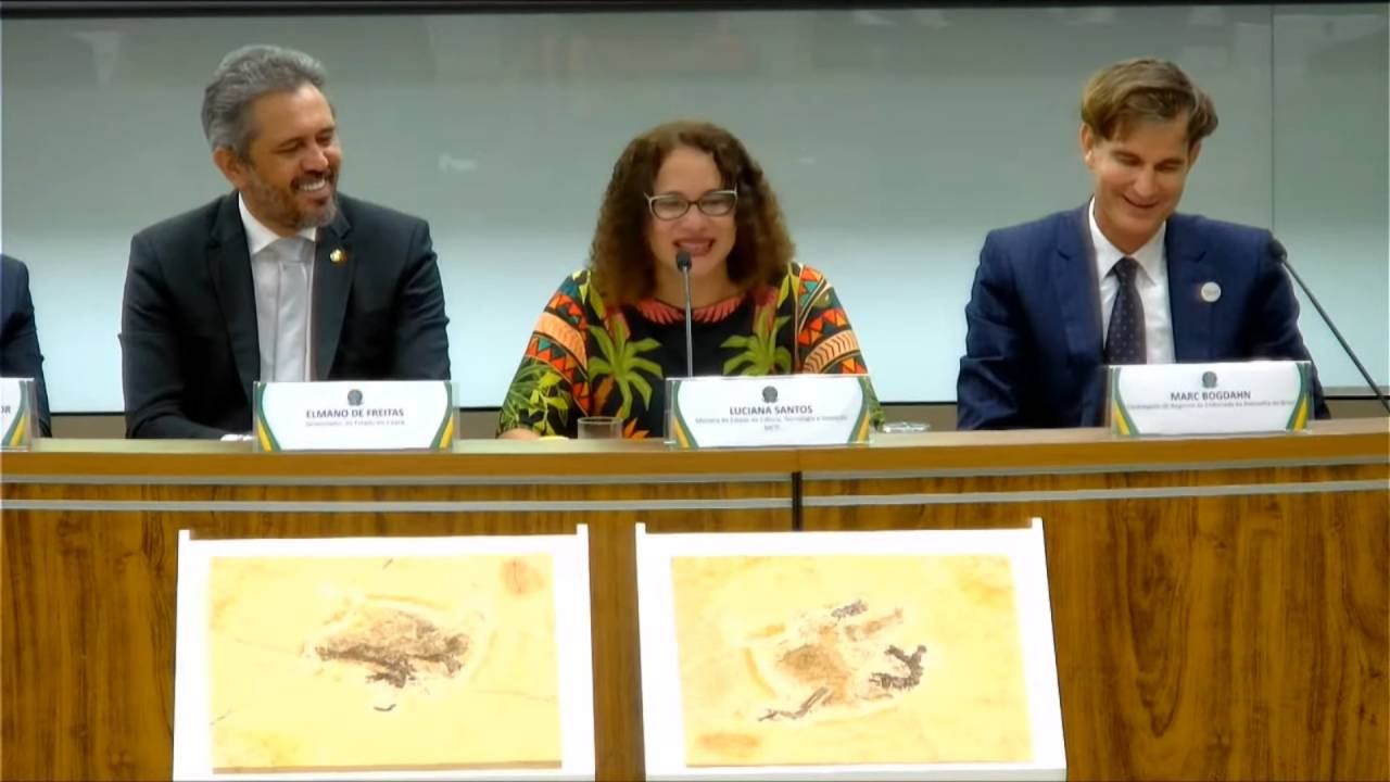 Ministra Luciana Santos