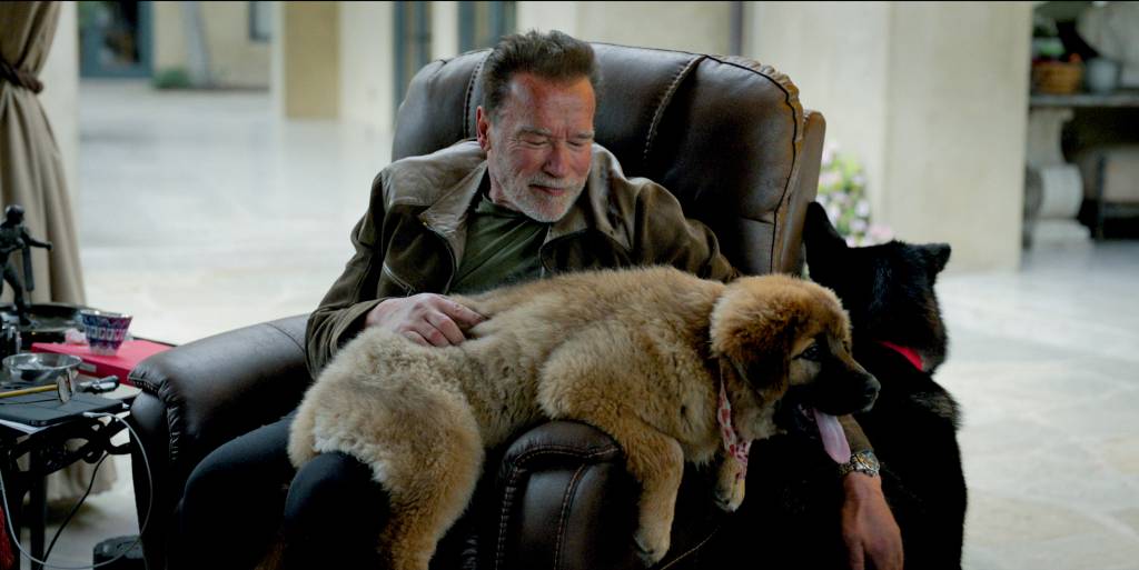 DOC – ARNOLD 05.jpg DOCUMENTÁRIO - “Pai de pet”: o ator paparica cachorros e até uma jumenta fofa