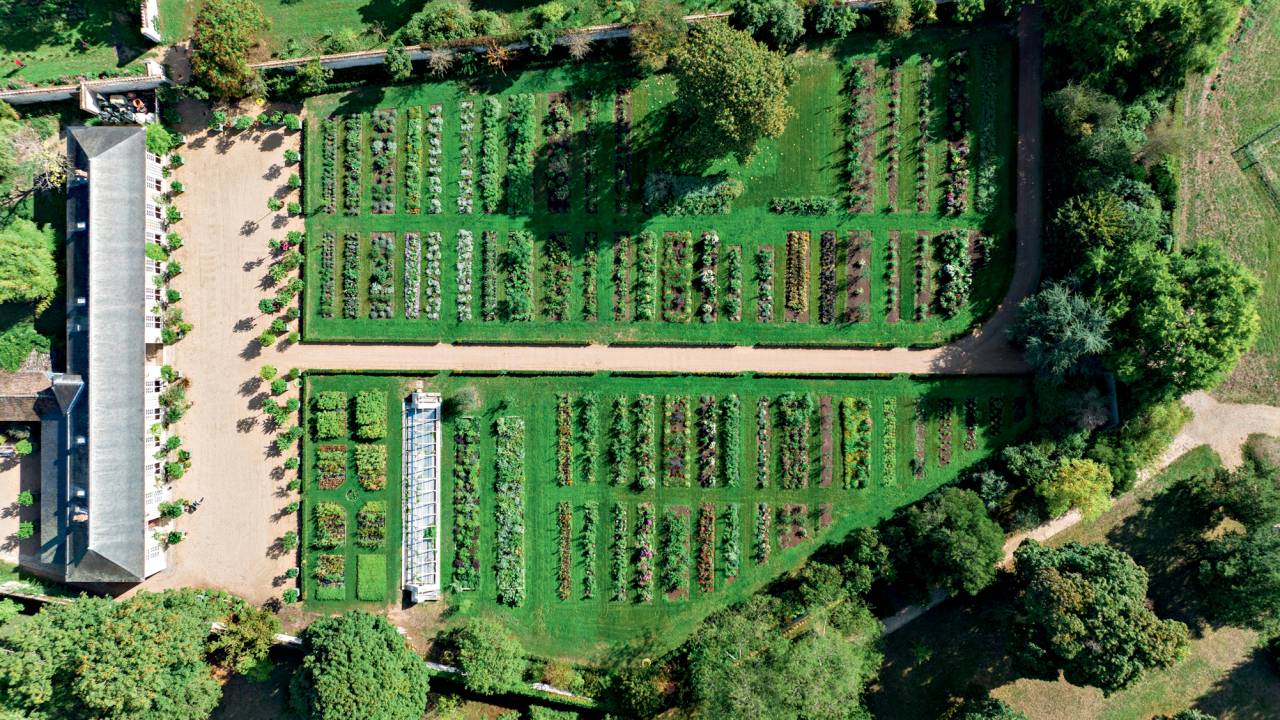 A PERDER DE VISTA - Jardin du Parfumeur: a missão de refazê-lo envolveu um mergulho em escritos do próprio rei