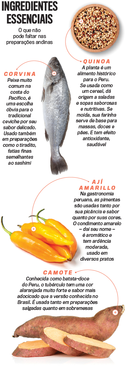 arte cozinha Per&uacute;