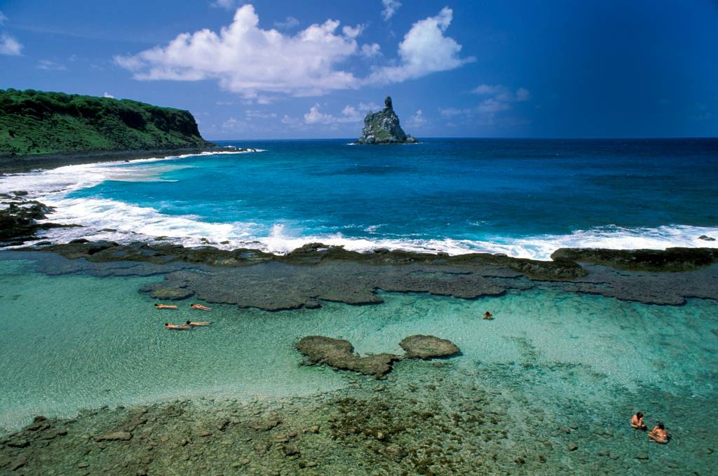 Proteção das espécies marinhas precisa ser quase quatro vezes maior, diz estudo