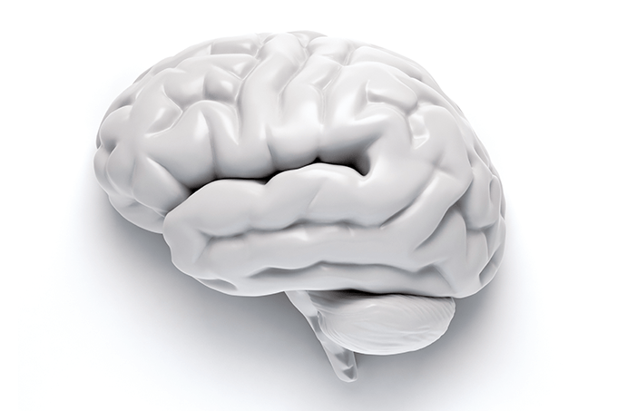 O que está por trás do processo de morte cerebral