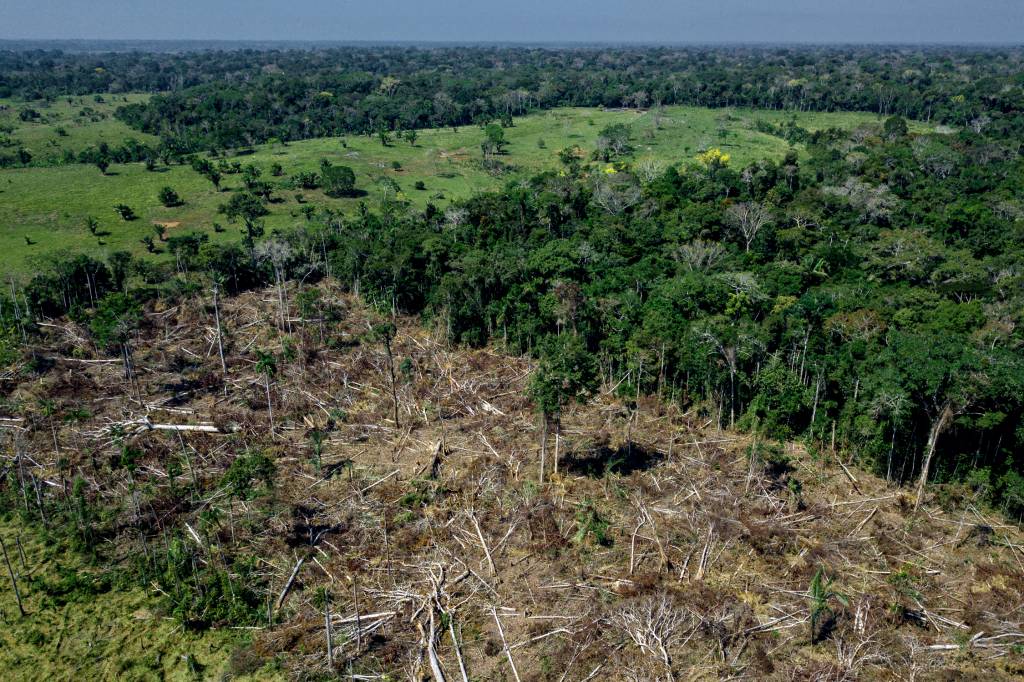 ACRE, BRAZIL – JULY 13: Recent deforestation in a region of the AMEAÇA - Área desmatada: preservação da floresta é preocupação mundial