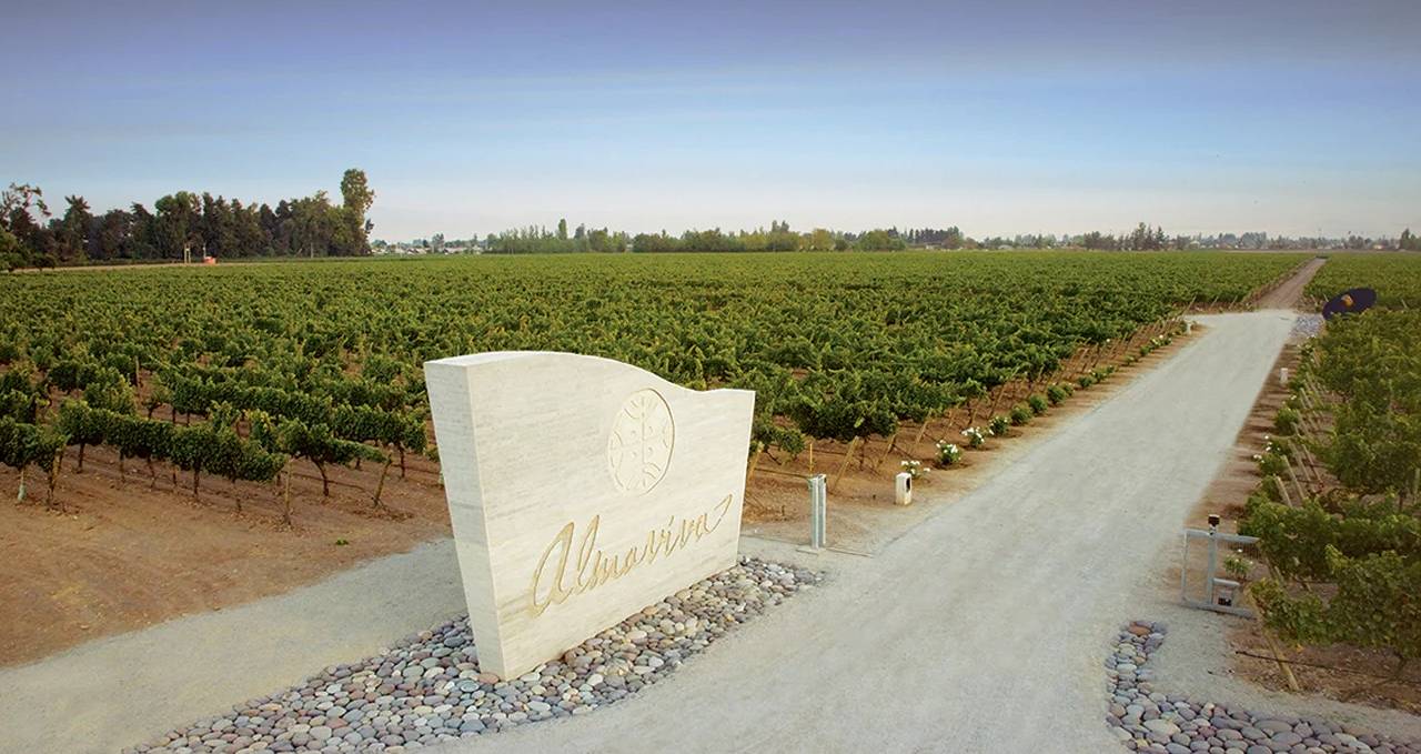 Os vinhedos de Almaviva, no Alto Maipo, no Chile -