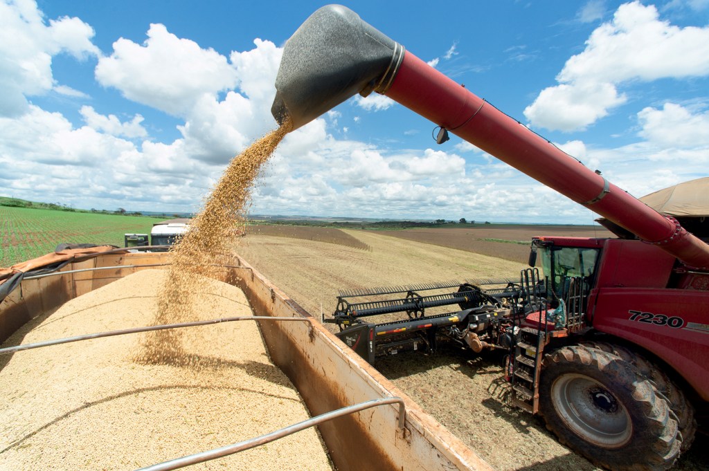 DE GRÃO EM GRÃO - Produção de soja: recordes do agro impulsionam o PIB