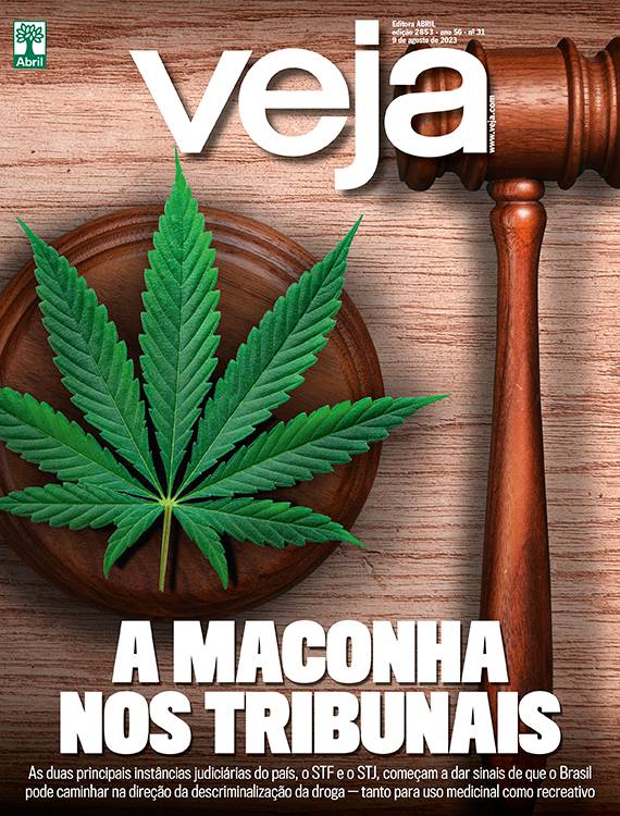 A MACONHA NOS TRIBUNAIS - 09/08/2023