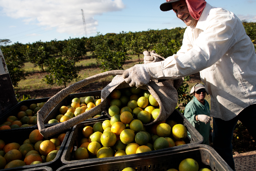 Entrevista: ‘Mudança climática ameaça produção em escala da alimentos’, diz especialista