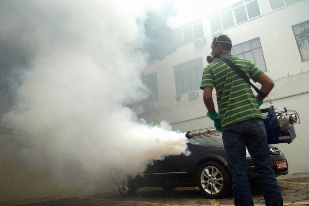 1111V551A.JPG INSUFICIENTE - Fumacê: tática ajuda a conter o inseto, mas não resolve a questão