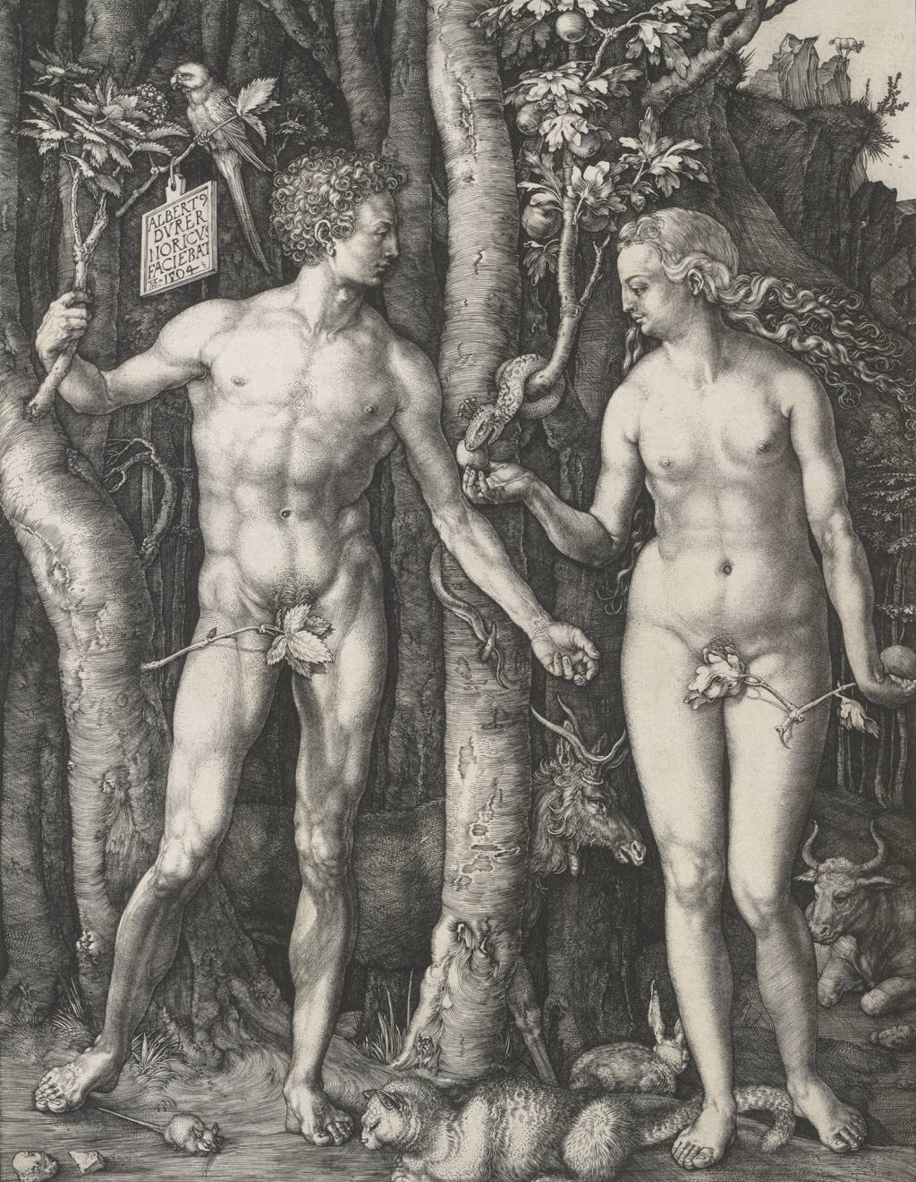 2-DUPLA-ABRE-albrecht_duerer_adam_und_eva_1504_albertina-_wien-1.jpg PERFEIÇÃO - Cena de Adão e Eva, por Dürer: contemporâneo de Michelangelo