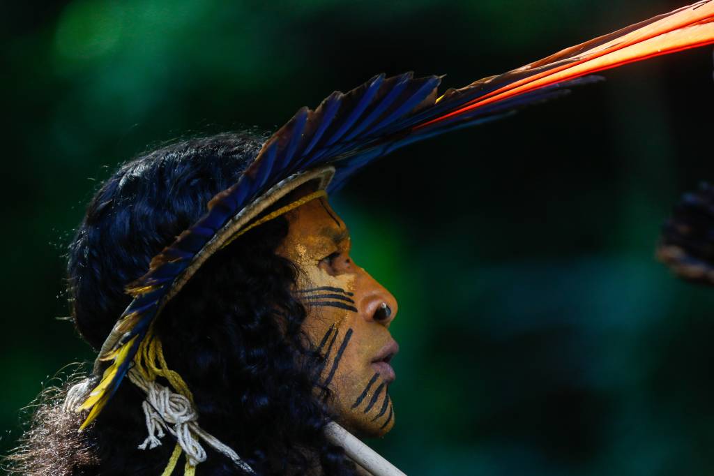 Artigo: Uma grande bênção chamada Amazônia