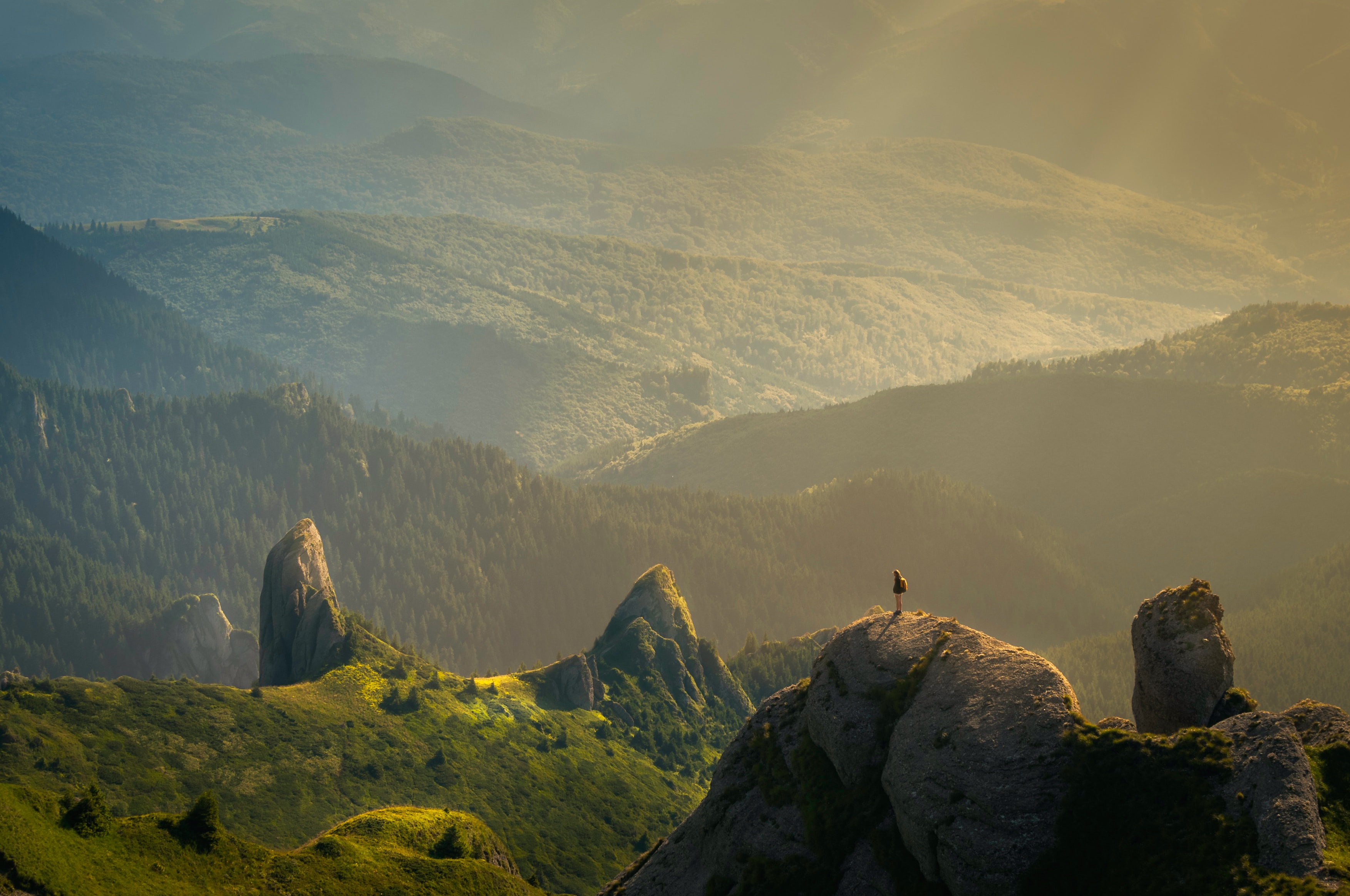 O desafio ecológico: menos apocalipse, mais gentileza e filosofia