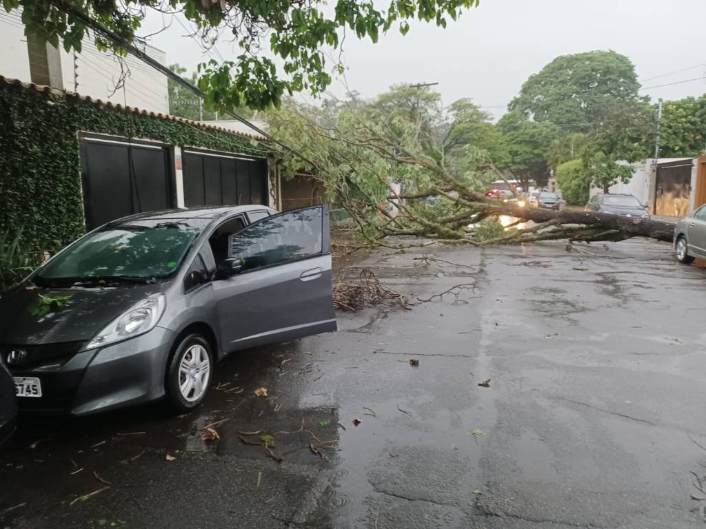Chuvas fortes e ventos acima de 100 km/h deixam dois mortos em SP