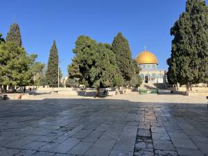 A Mesquita de Al-Aqsa e seu pátio são vistos vazios antes das orações de sexta-feira, enquanto as forças israelenses continuam a impor restrições aos palestinos em Jerusalém Oriental A Mesquita de Al-Aqsa e seu pátio são vistos vazios antes das orações de sexta-feira, enquanto as forças israelenses continuam a impor restrições aos palestinos em Jerusalém Oriental