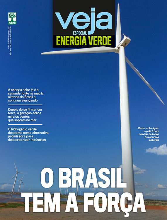 O BRASIL TEM A FORÇA