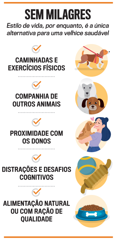 arte-cachorros-digital-2871