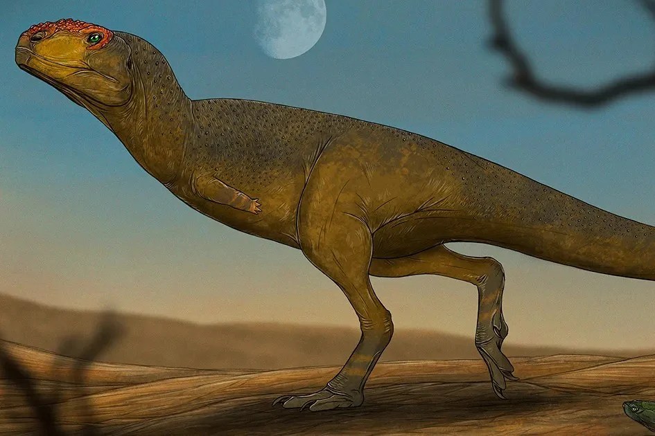 Dentes revelam domínio de dinossauros carnívoros na América do Sul