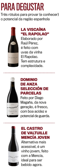 arte vinhos