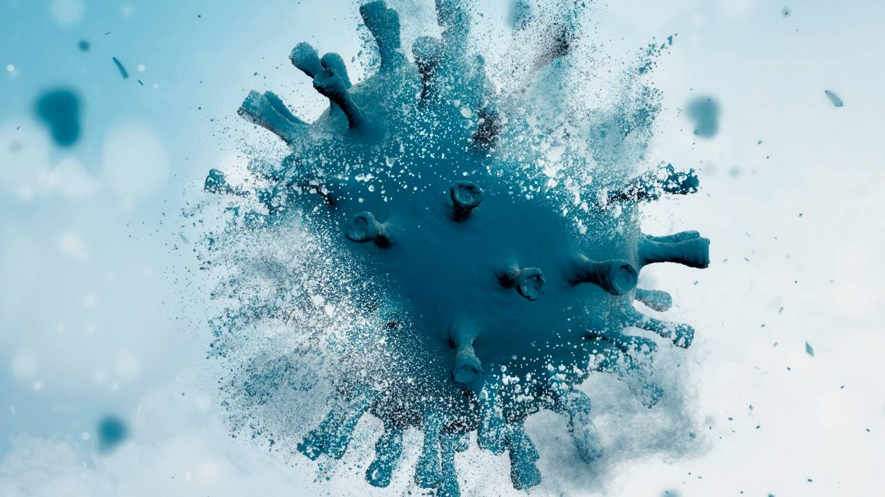 INIMIGO DEBELADO - SARS-CoV-2 destruído: vacinação instrui o corpo a neutralizar o patógeno