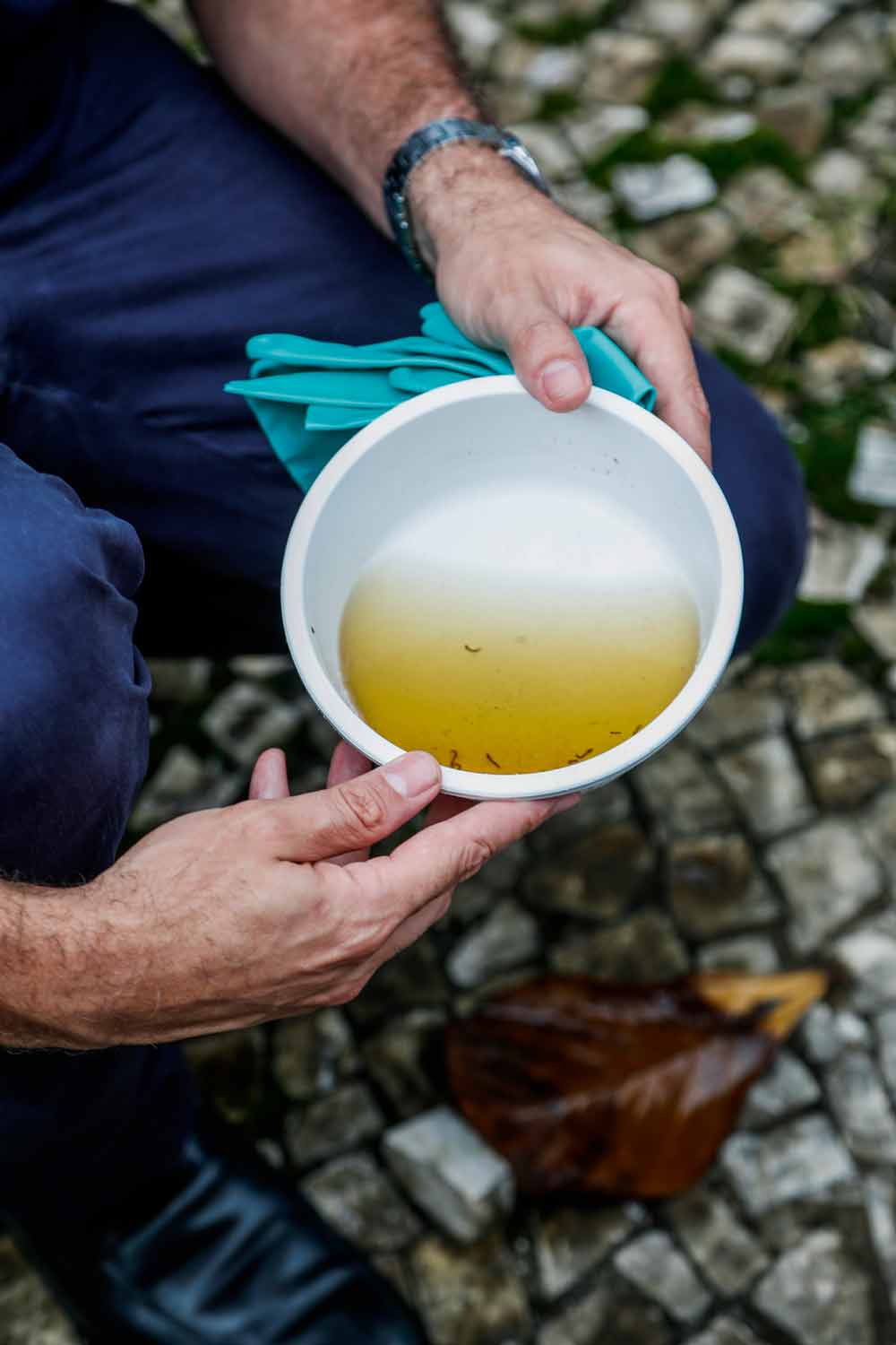 RIO950968.JPG CRIADOURO - Água parada: 75% dos focos de mosquitos estão nas residências