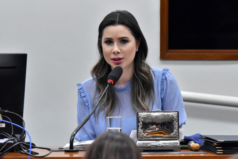 Caroline de Toni é deputada federal pelo PL