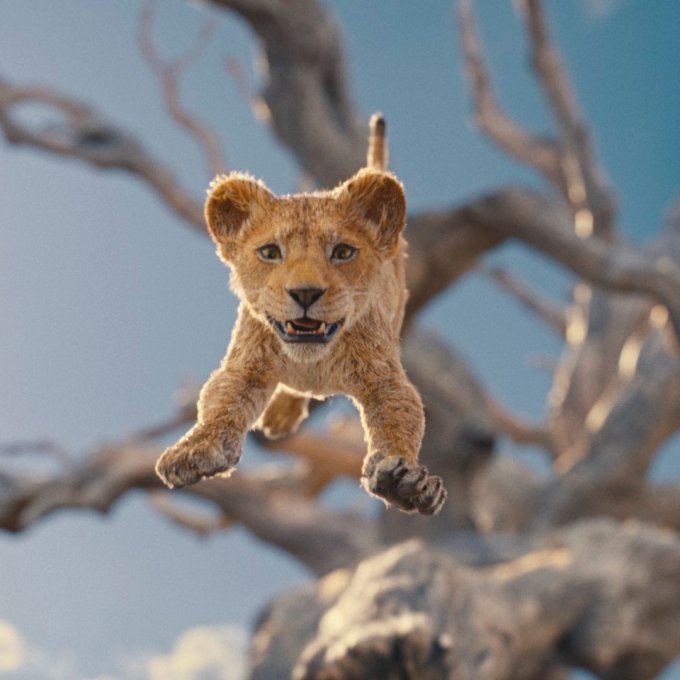 Os sinais duvidosos que ‘Mufasa: O Rei Leão’ revela em primeiro trailer
