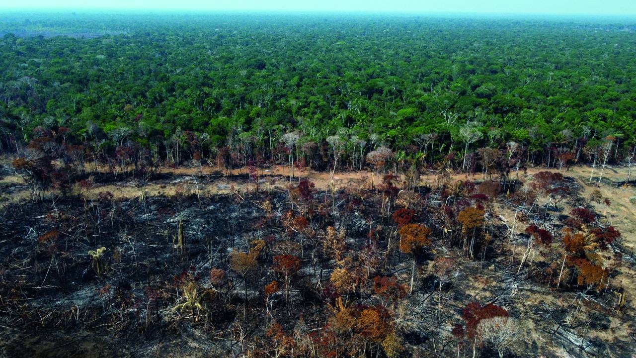 CINZAS - Fogo na mata: com manejo de recursos, cenas como esta podem ser evitadas