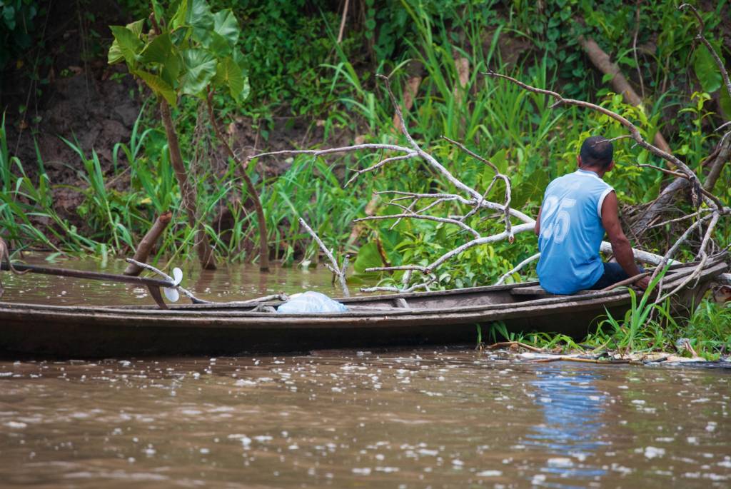 475597624.jpg DESMATAMENTO - Amazônia: sem alimento, as espécies perdem tamanho