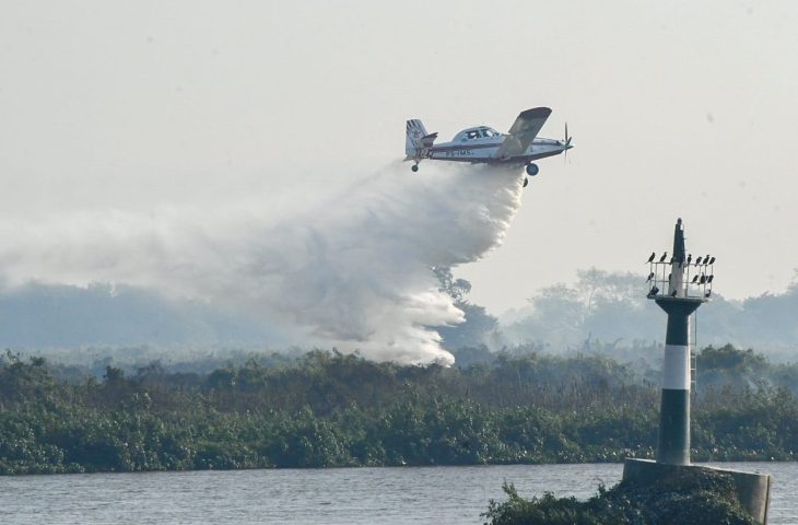Pantanal alagou menos na cheia do que na seca anterior