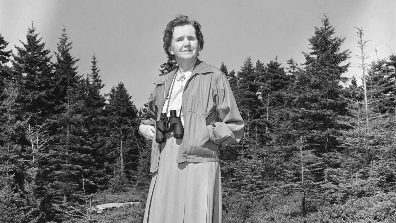 PIONEIRA Rachel Carson, autora de 'Primavera Silenciosa', de 1962: “Guerra sem tréguas contra a vida”