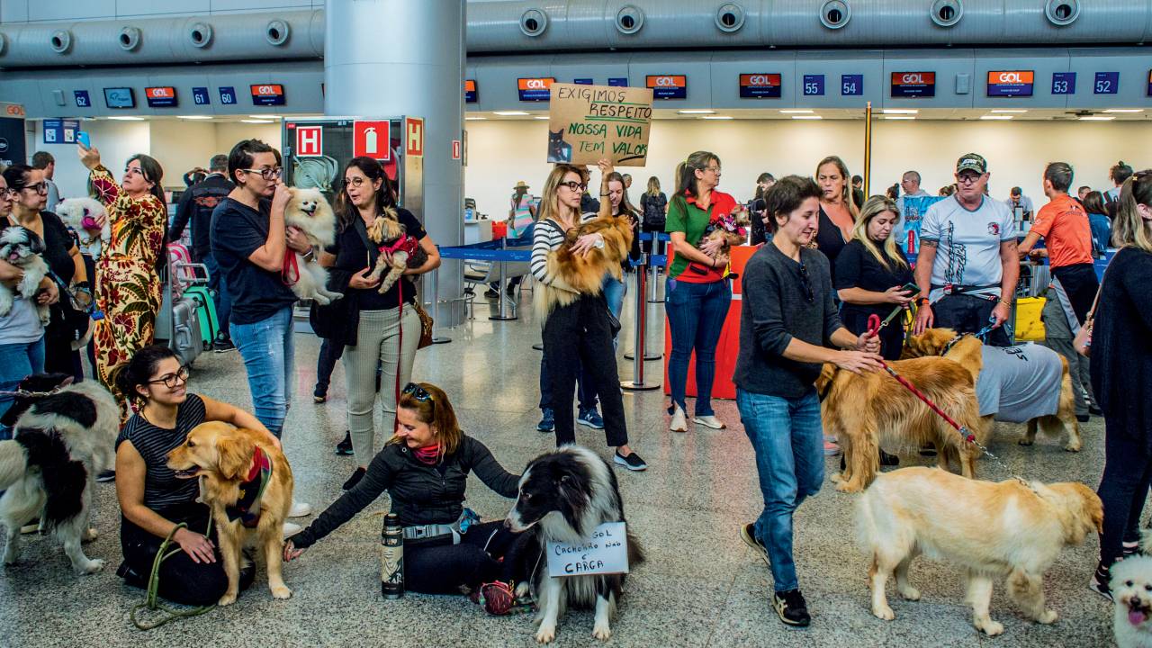 REVOLTA - Protesto no aeroporto do Galeão, no Rio de Janeiro: por justiça e regras rígidas para trato dos bichos