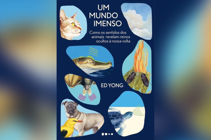 UM-MUNDO-IMENSO.jpg2