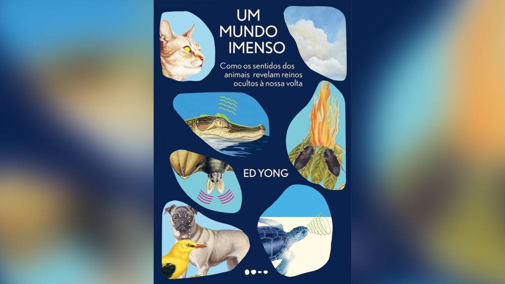 ‘Um Mundo Imenso’ diverte ao falar de ciência de forma descomplicada