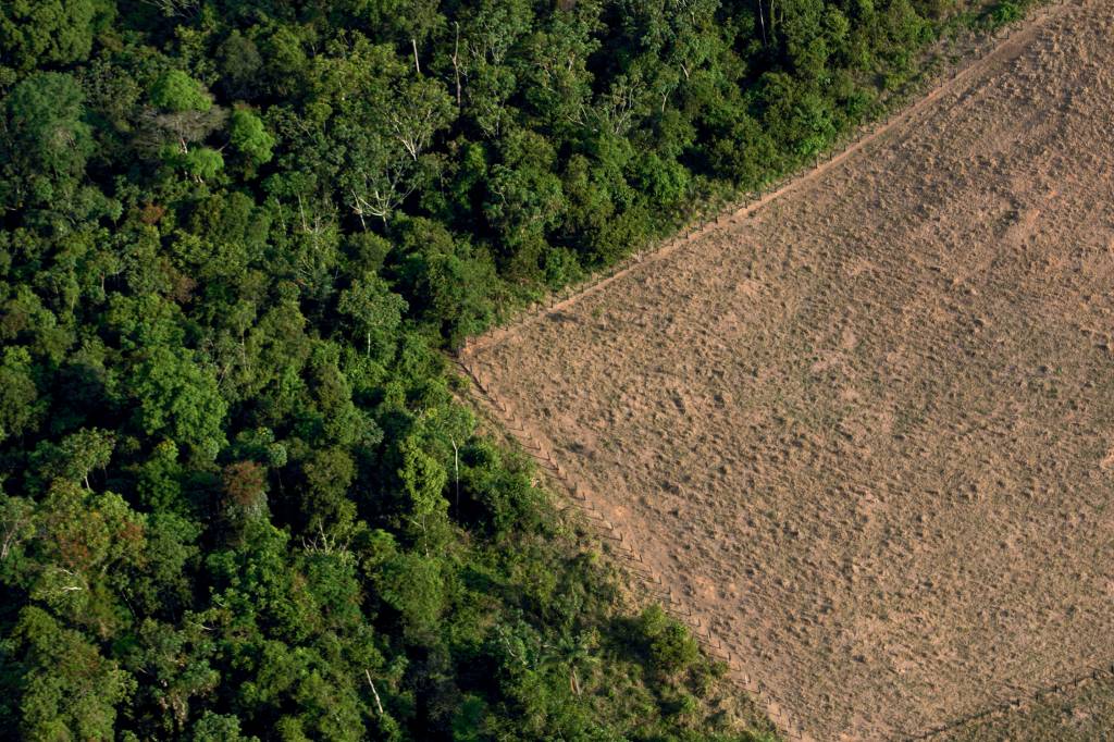 Queimadas continuam na AmazÙnia ORIGEM - Floresta Amazônica: desmatamento reduz rios voadores e contribui para a falta de chuvas no Pantanal