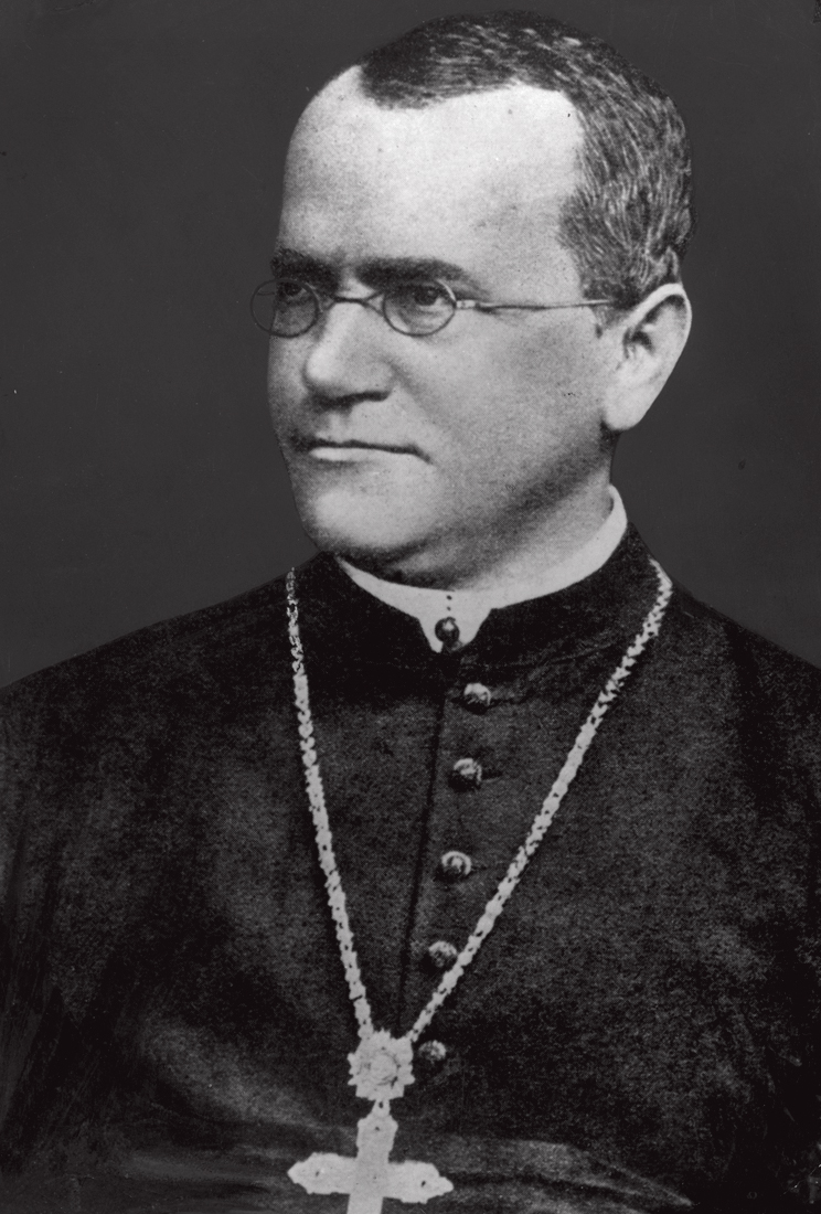 Gregor Mendel VISIONÁRIO - Gregor Mendel: botânico austríaco descobriu as leis que regem a hereditariedade