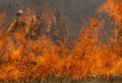 Brigadistas combatem incêndios no Pantanal