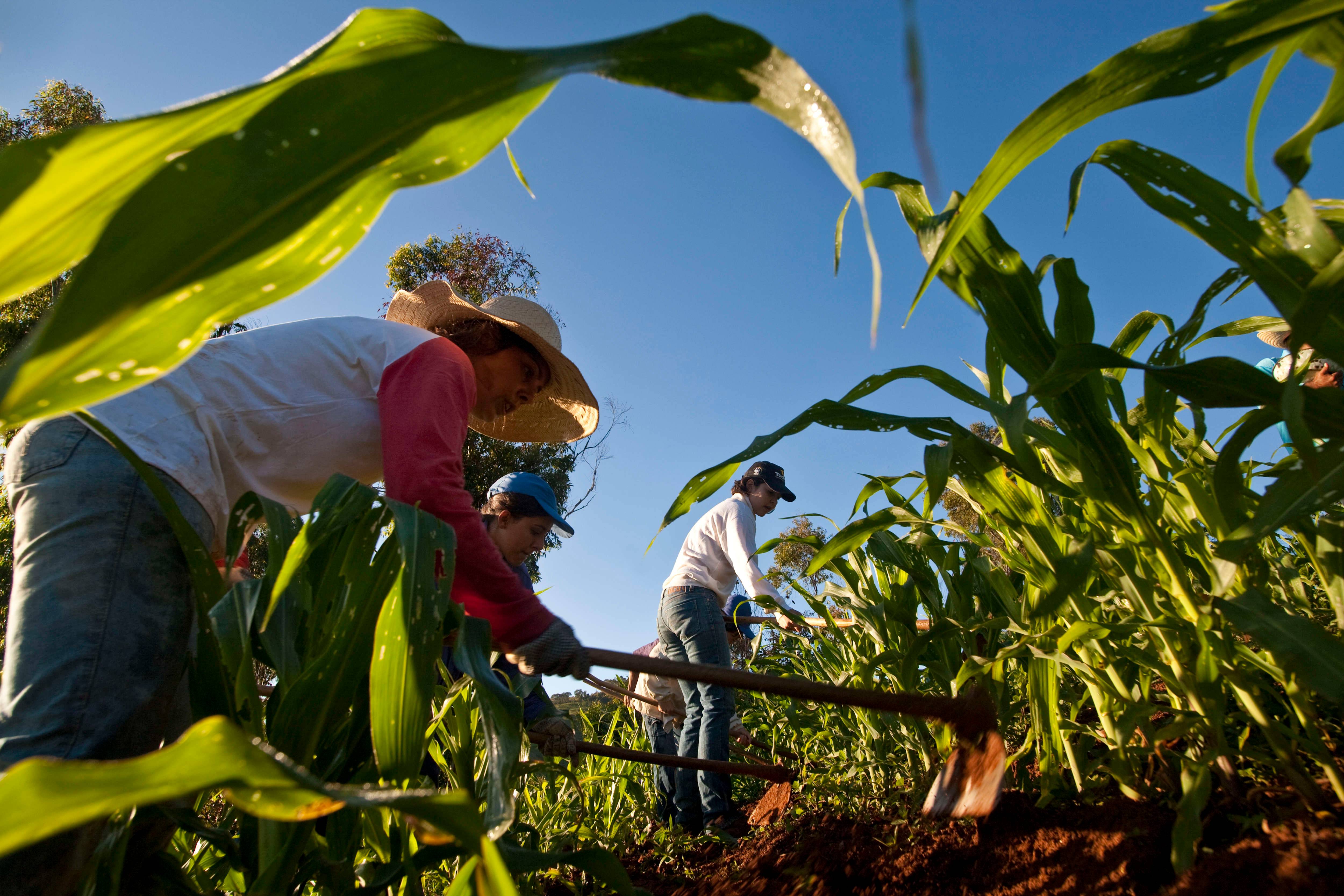 Por um Fundo Garantidor do Agro