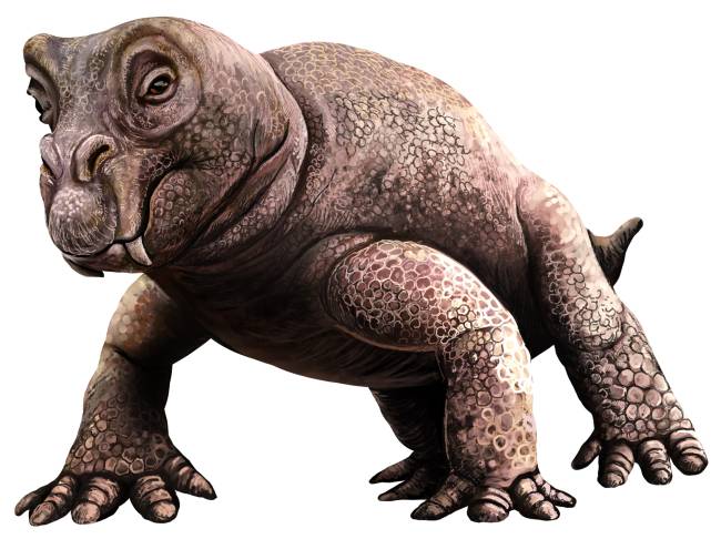 Lystrosaurus