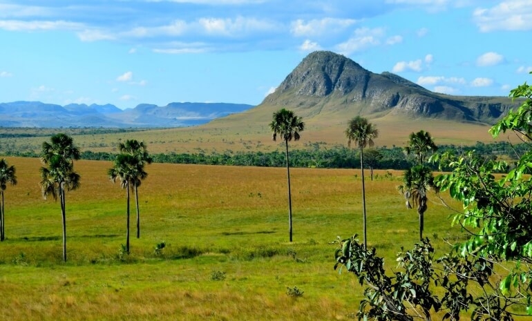 PRESERVAÇÃO: Parque Nacional da Chapada dos Veadeiros atua com conservação e pesquisa em uma área de 240.611 hectares no estado de Goiás