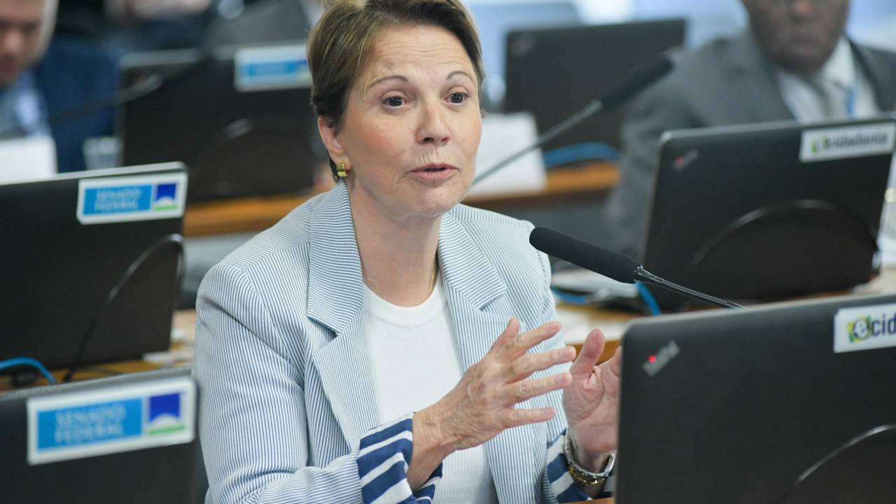 A líder do PP no Senado, Tereza Cristina