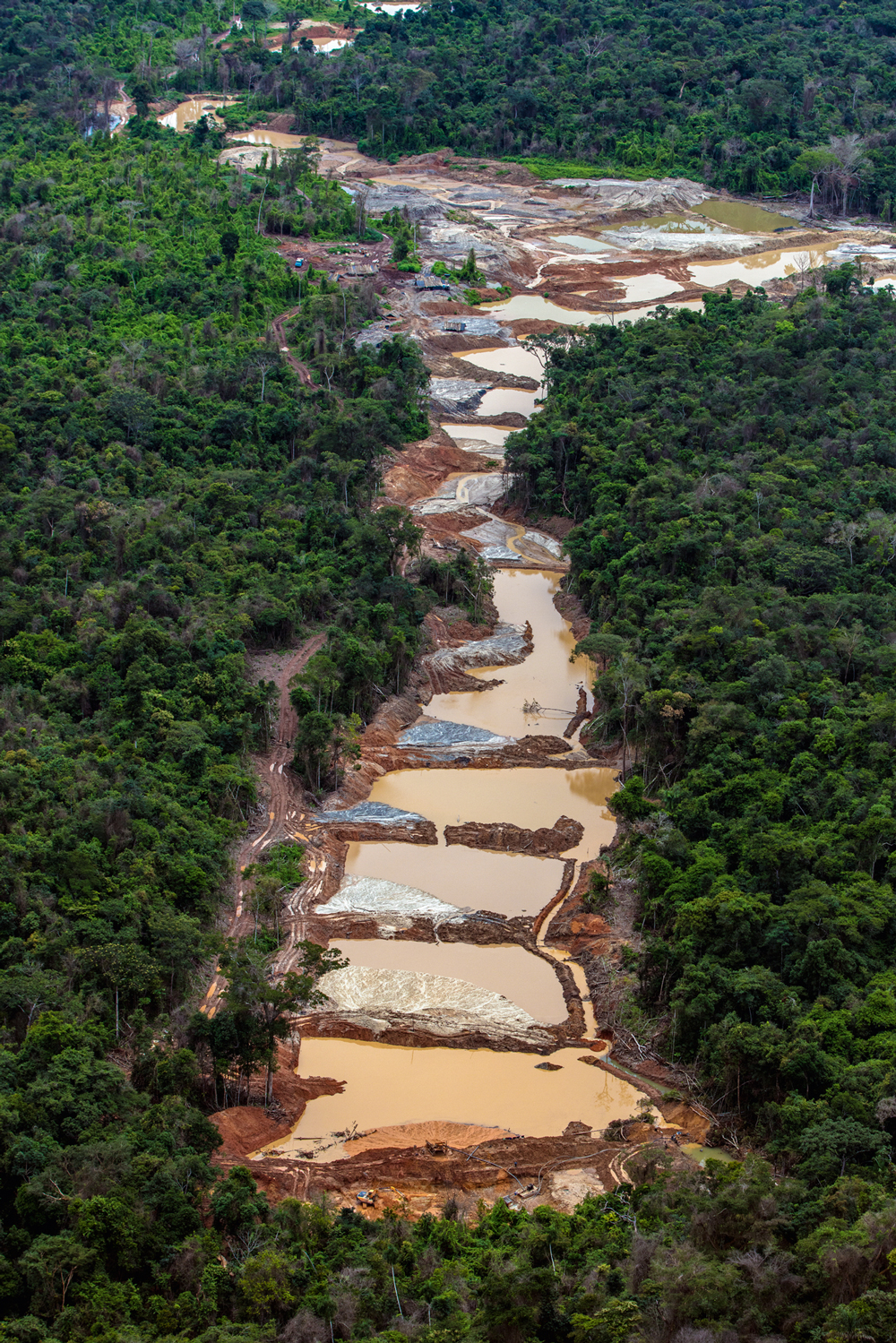 DESTRUI&Ccedil;&Atilde;O -&ensp;Desmatamento: escavadeiras abrem espa&ccedil;o para garimpo ilegal