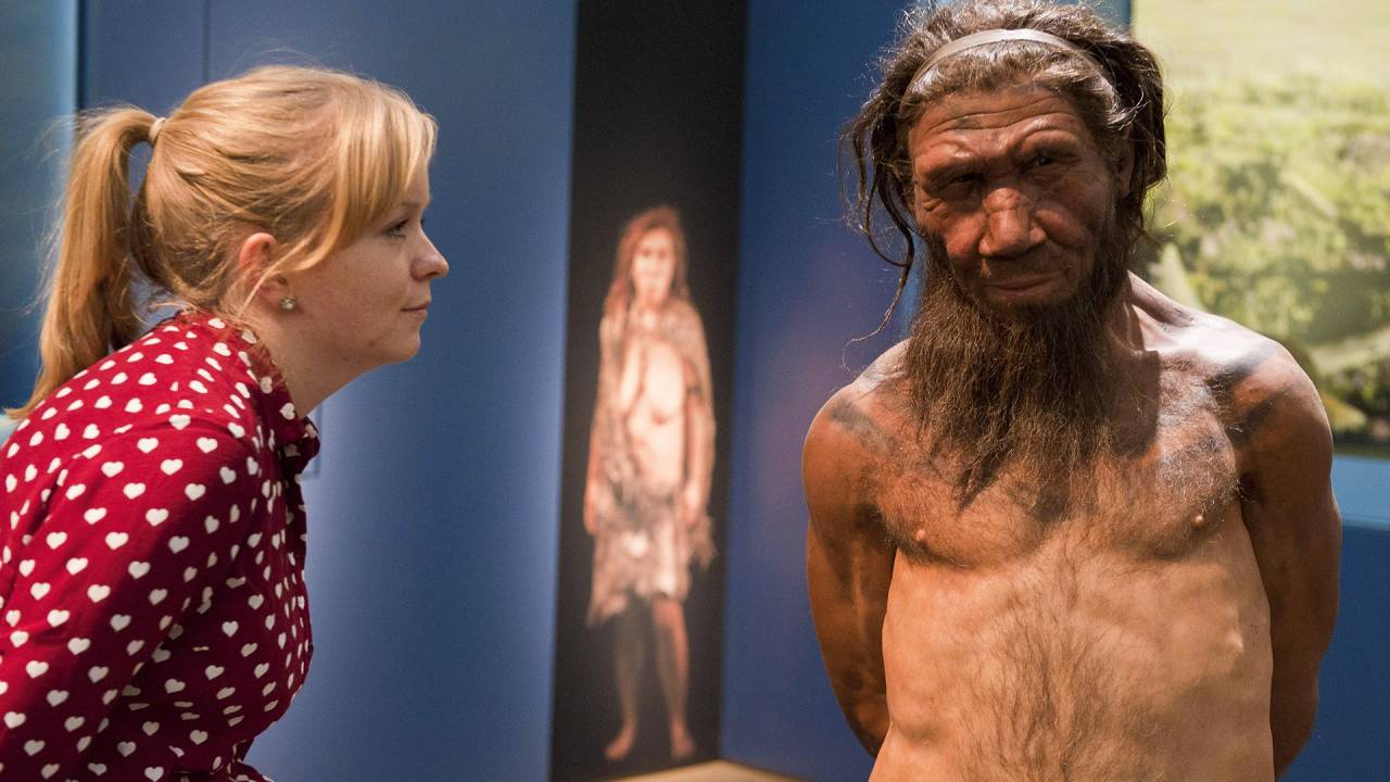 PARENTES - Funcionária vê modelo de neandertal em museu: história de coexistência e procriação com quem veio depois