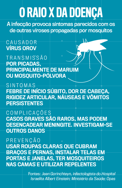 arte febre oropouche