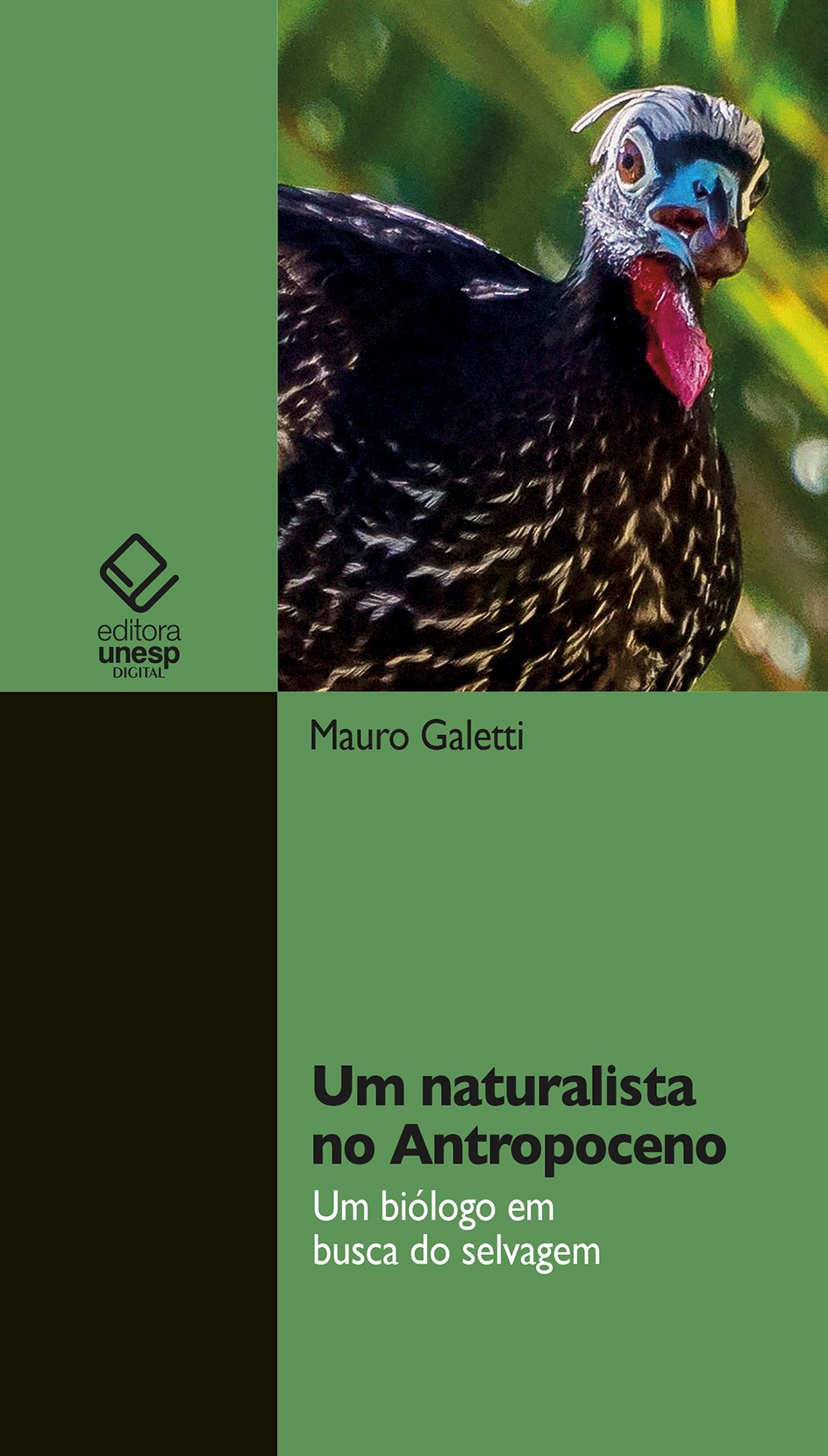 capa
