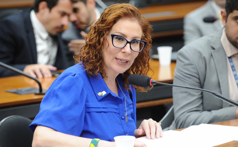 Caso Zambelli trava na CCJ e relator deixa decisões para agosto