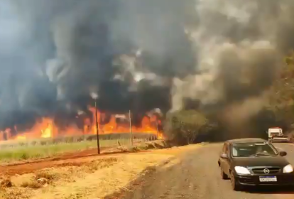 Queimadas atingem diversas regiões de São Paulo em meio a tempo seco e altas temperaturas