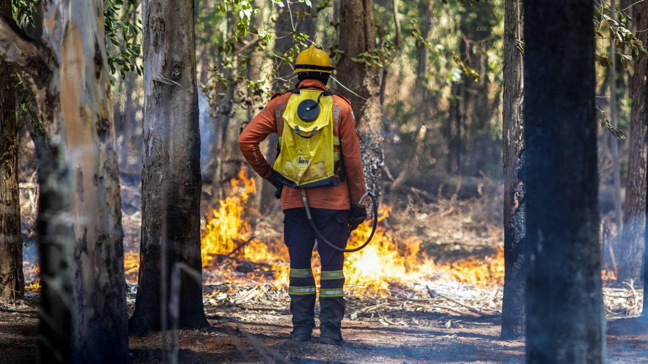 DESOLAÇÃO - Incêndio no Distrito Federal: muitas multas aplicadas, mas poucas serão efetivamente pagas
