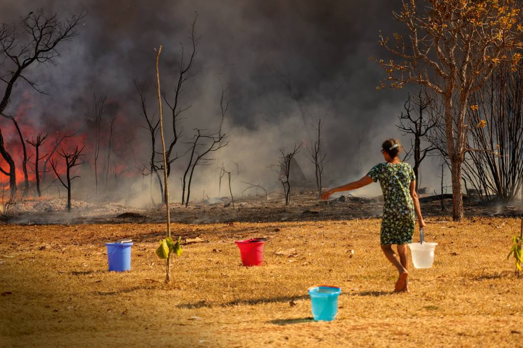2D-(1)—53997529401_792bbf16ab_o.jpg ESTRAGO - Parque Nacional em Brasília: 75 000 focos de incêndio registrados pelo Inpe desde o início do mês