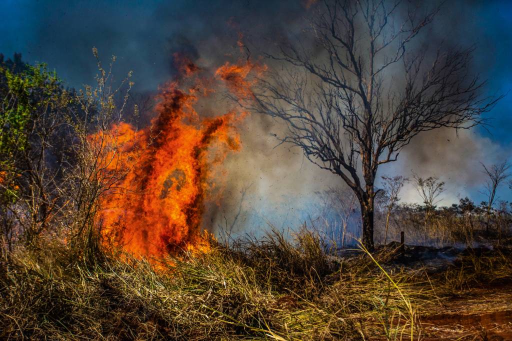 2D-(1)-A63A1588.JPG FOGO E FUMAÇA - Desastre ambiental: incêndios se alastram pelo país (na foto, o interior paulista), com extensão recorde