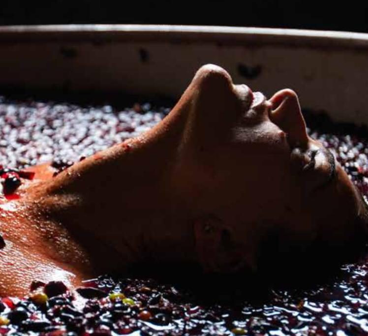 Foto do livro Vinho Natural, de Lis Cereja