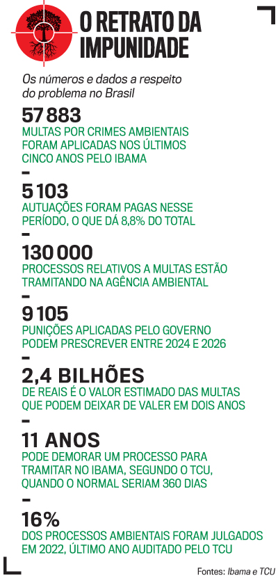 arte multas ambientais